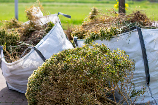 Best Estate Cleanout Services  in Crewe, VA