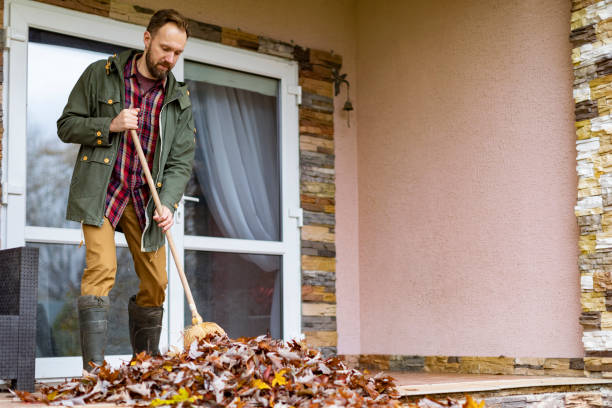 Best Basement Cleanout Services  in Crewe, VA